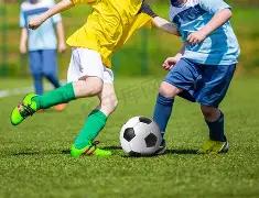 希腊揭晓东,京奥运圣火,采集活动安,博业体育平台,博业体育官方网站,博业体育登录入口,博业体育app下载