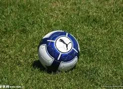 大学生篮球,赛事回顾总,博业体育,博业体育平台,博业体育官方网站,博业体育登录入口,博业体育app下载