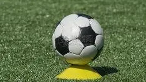 “大湾区文体中心首映中文本幕第19页热度飙升，超万人现场助威观赛”