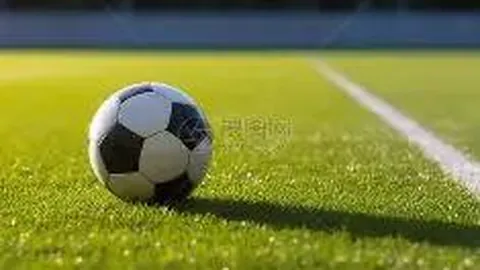 博业体育 资讯 091857 5vo