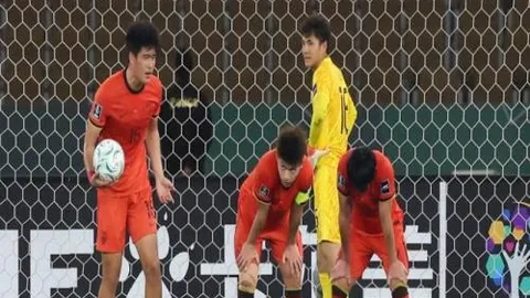 哈尔滨：中国年遇亚冬会，惊喜升级，＂冰城＂华丽转身成＂国际港